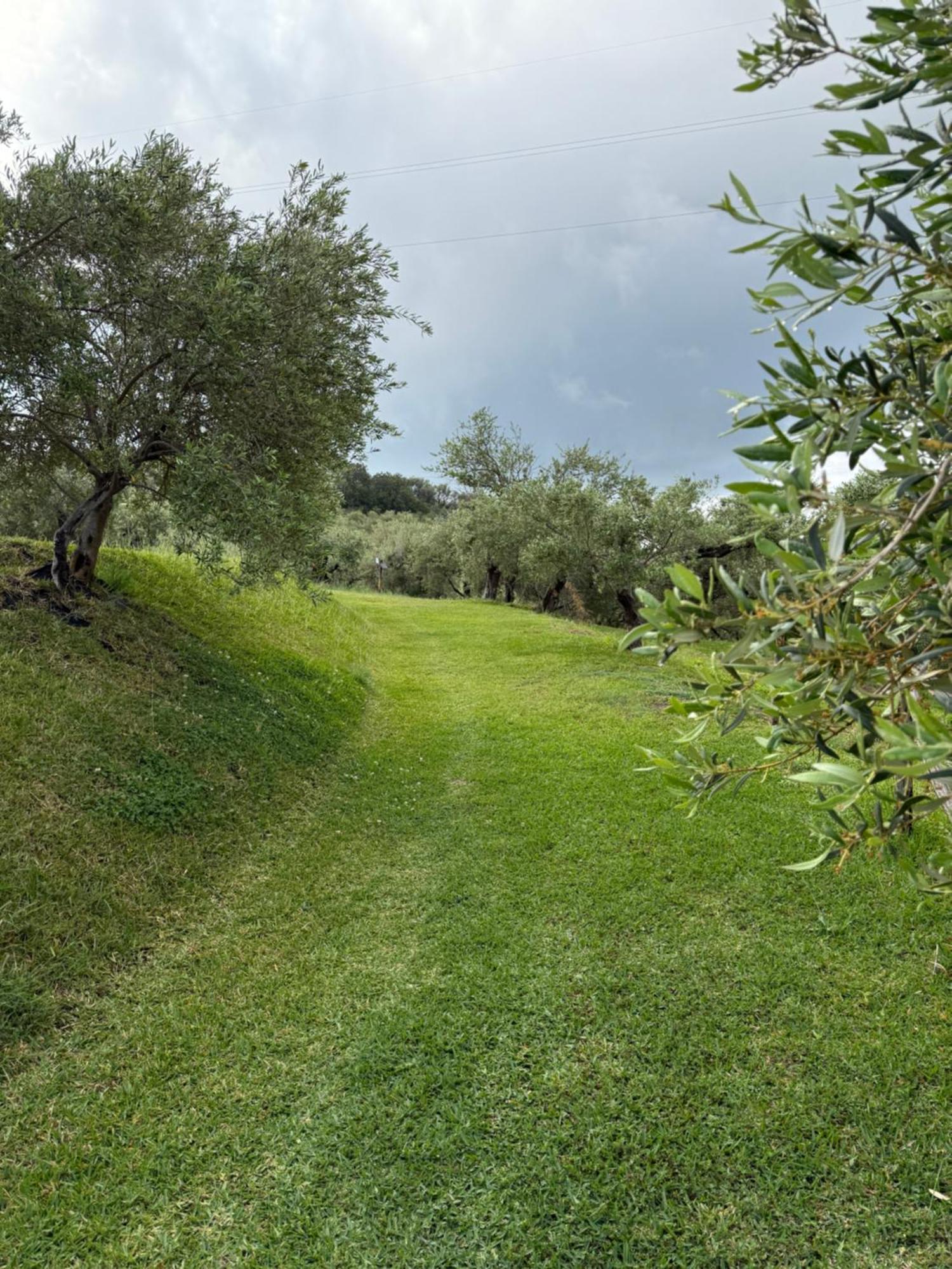 Agrolea Otel Terme Vigliatore Dış mekan fotoğraf