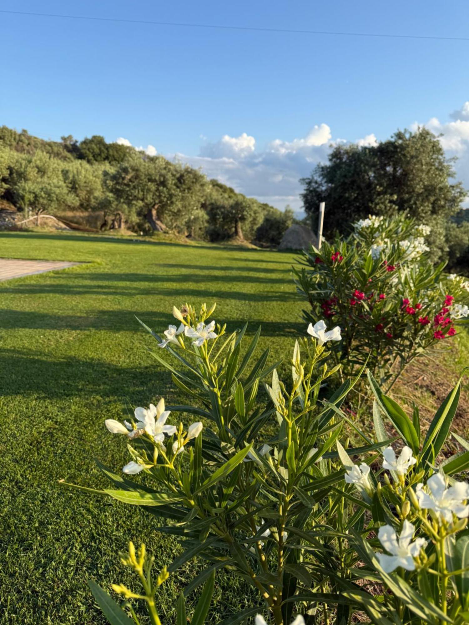 Agrolea Otel Terme Vigliatore Dış mekan fotoğraf