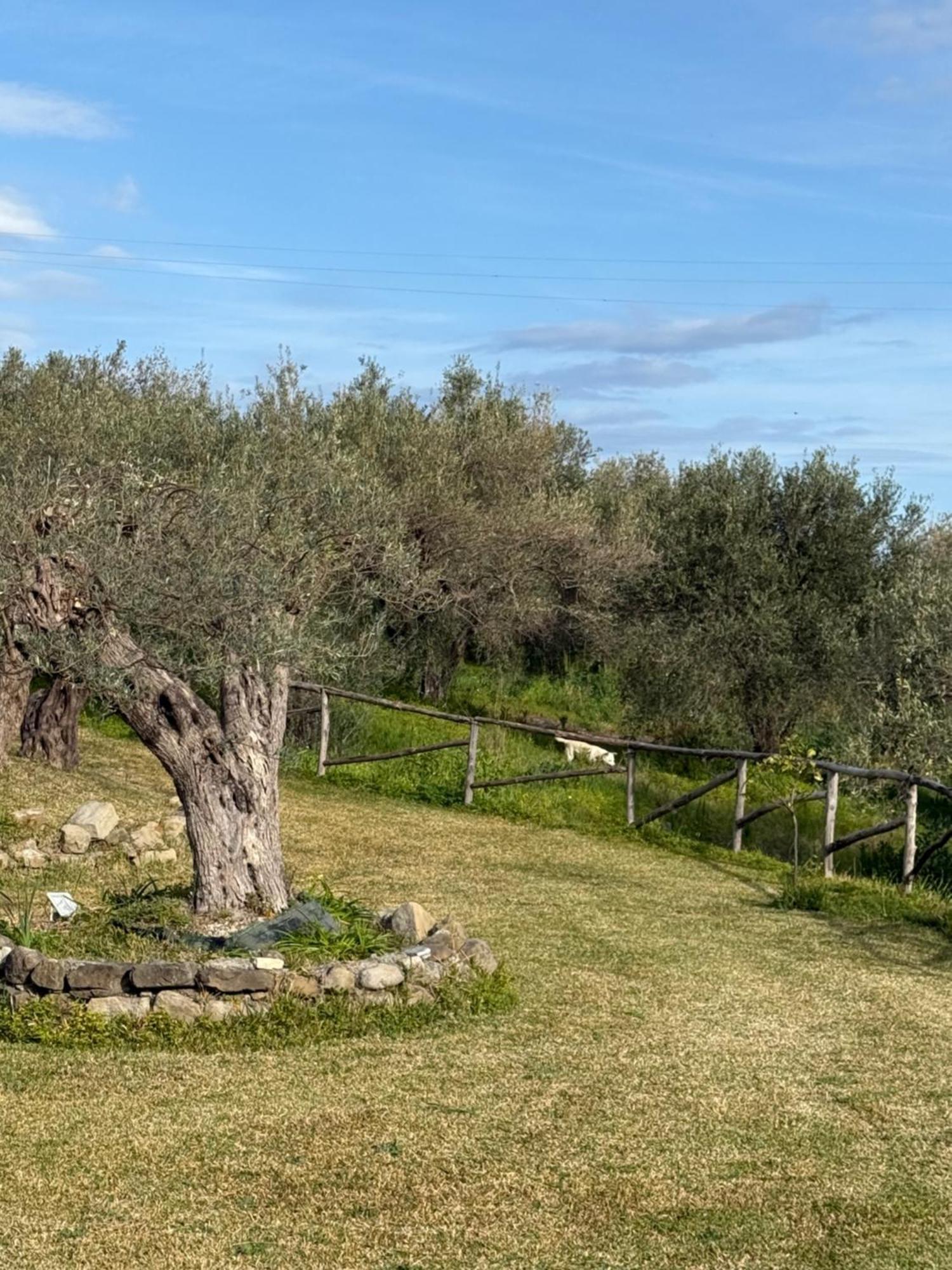 Agrolea Otel Terme Vigliatore Dış mekan fotoğraf