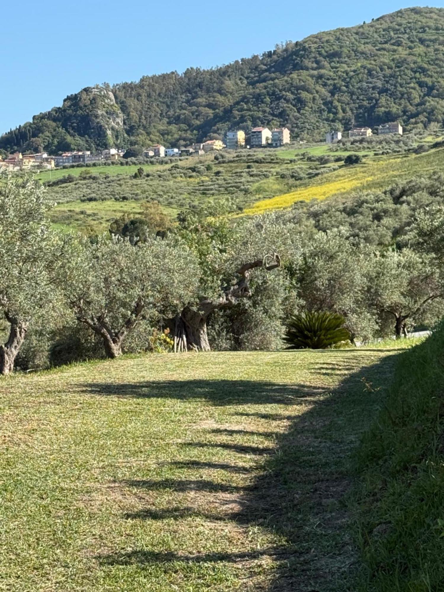 Agrolea Otel Terme Vigliatore Dış mekan fotoğraf