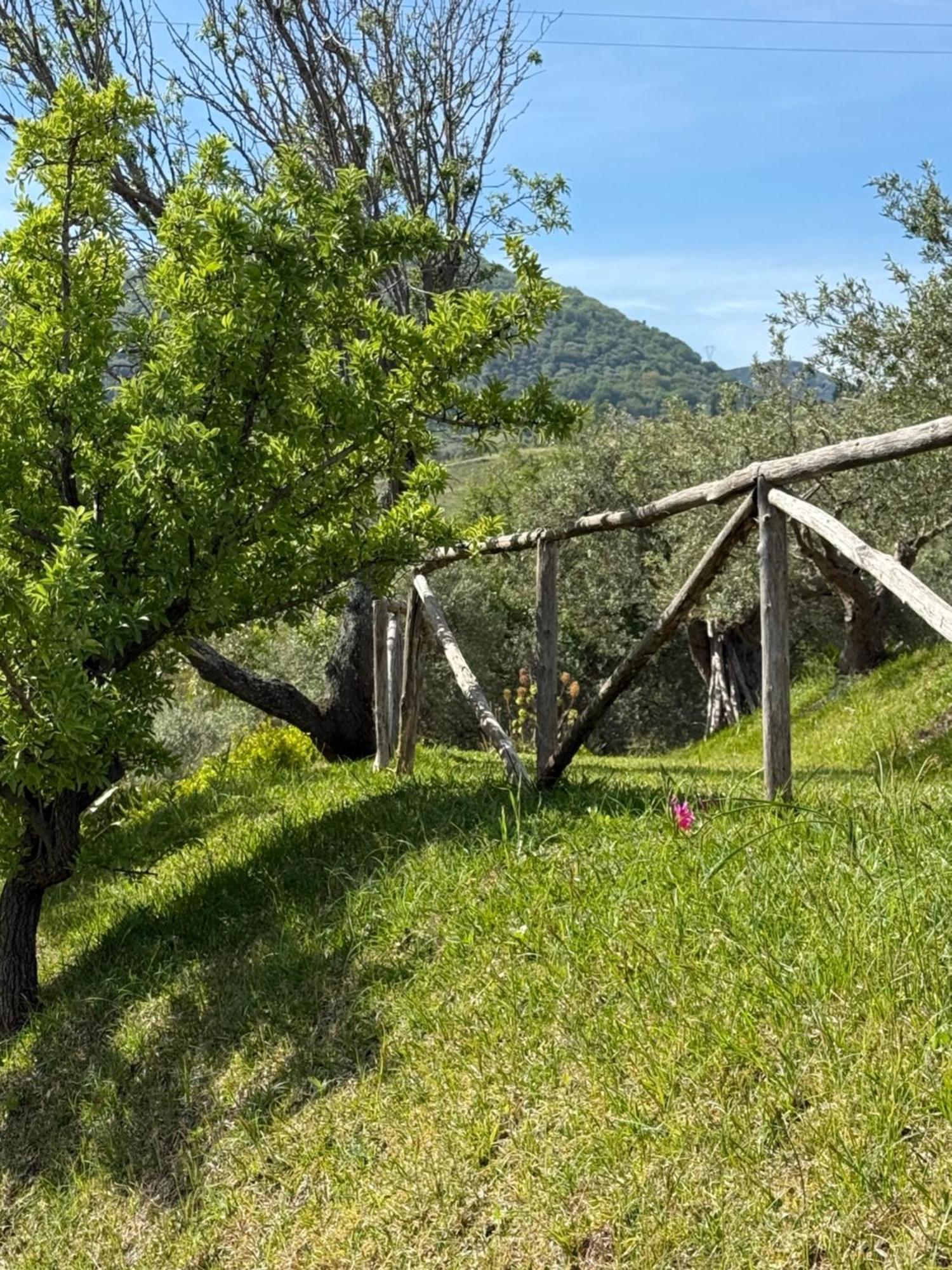 Agrolea Otel Terme Vigliatore Dış mekan fotoğraf